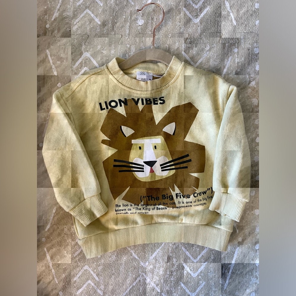 Zara Sweatshirt-SOLD